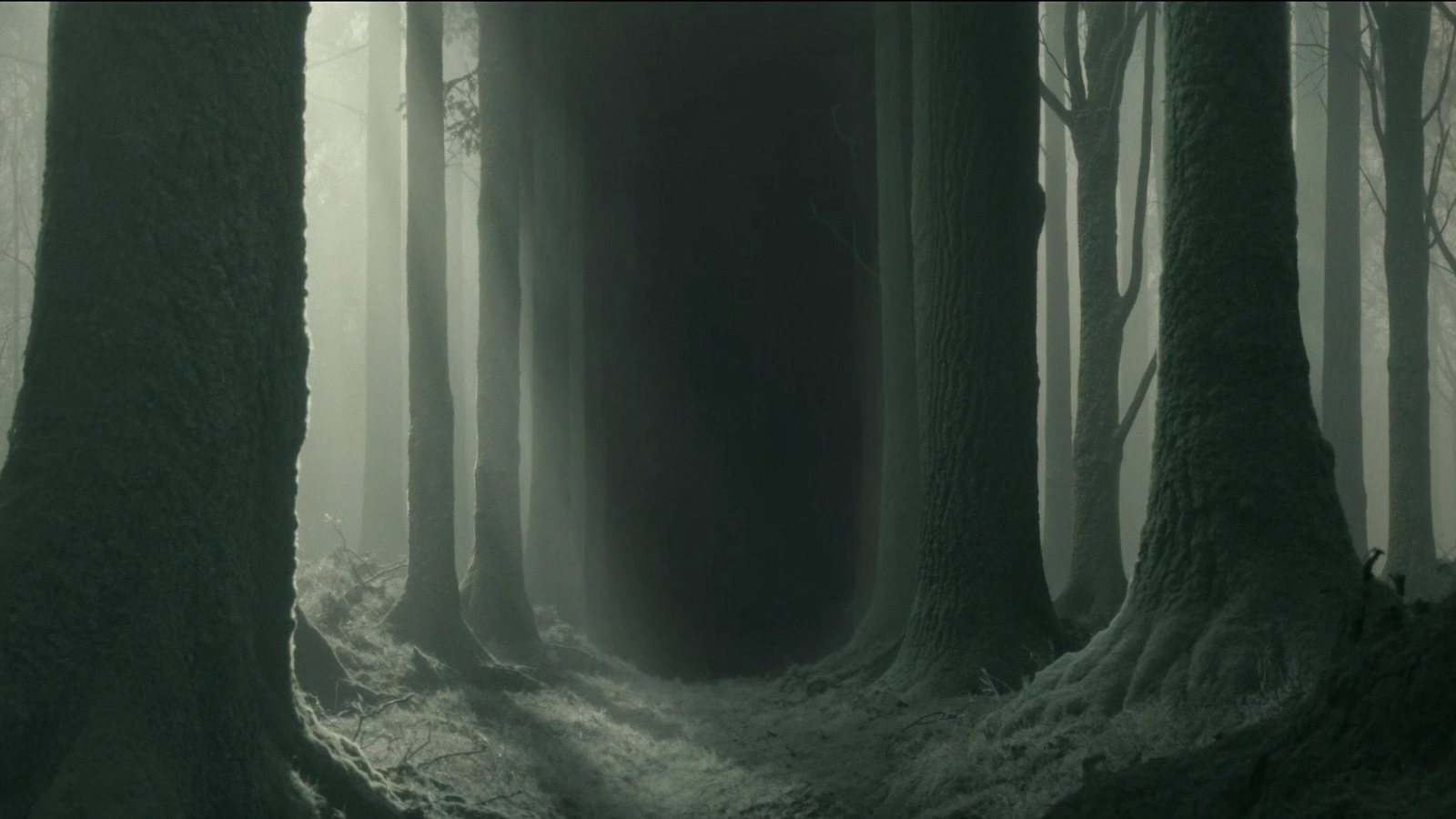 The deep, misted heart of the Undying Wood